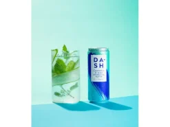 Dash Water Soft-Drinks Sparkling Cucumber und Minze 12 x 0.33 l