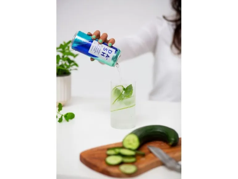 Dash Water Soft-Drinks Sparkling Cucumber und Minze 12 x 0.33 l