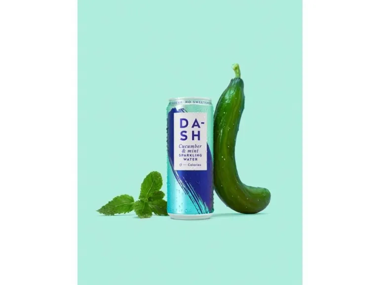 Dash Water Soft-Drinks Sparkling Cucumber und Minze 12 x 0.33 l