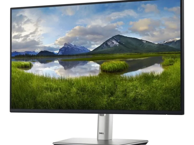 Dell Monitor P2425H 23.8 ", 1920 x 1080 (Full HD)