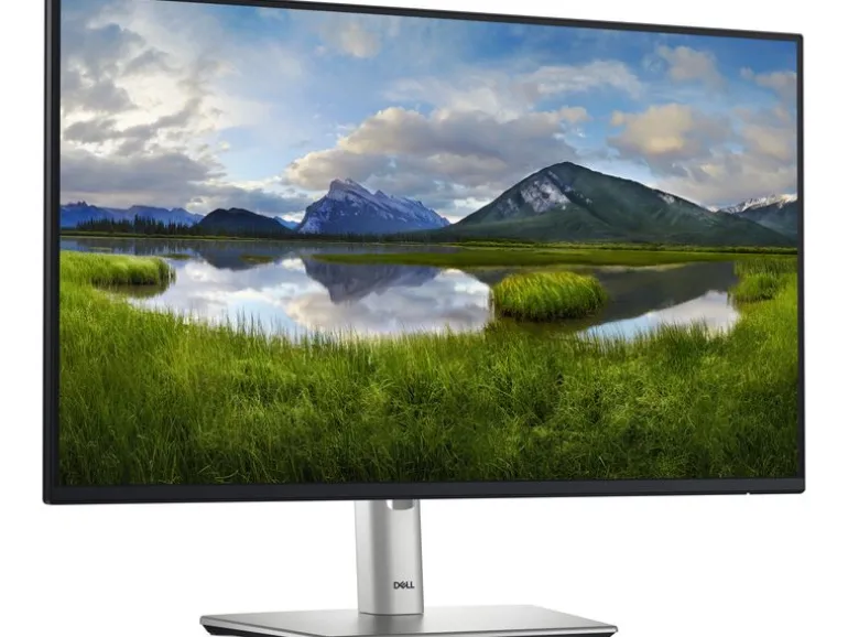 Dell Monitor P2425H 23.8 ", 1920 x 1080 (Full HD)