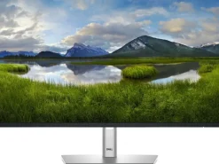 Dell Monitor P2425H 23.8