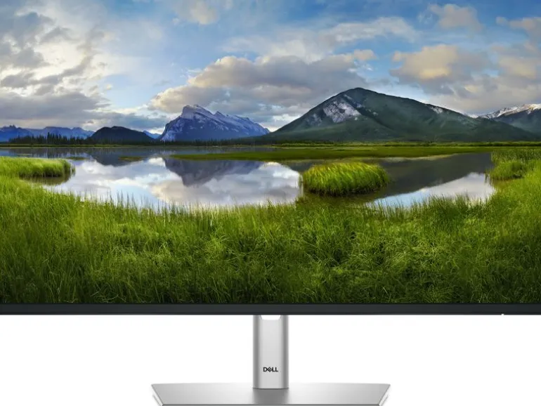 Dell Monitor P2425H 23.8 ", 1920 x 1080 (Full HD)