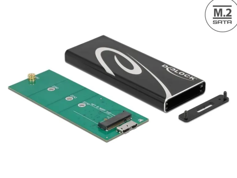 Delock Externes Gehäuse SuperSpeed USB 3.2 Gen 2 - SATA SSD M.2
