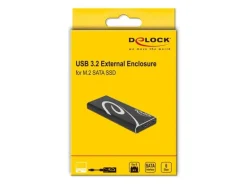 Delock Externes Gehäuse SuperSpeed USB 3.2 Gen 2 - SATA SSD M.2