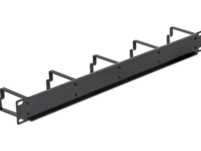 Delock Kabelführungspanel 42496 , Schwarz