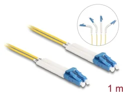 Delock LWL-Patchkabel Singlemode LC – LC, OS2, Duplex, 1 m