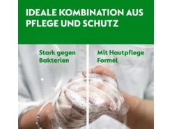 Dettol Handseife No-Touch Nachfüller Sheabutter & Rosenblüte 250 ml