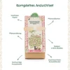 Die Stadtgärtner Anzuchtset Bienenbaum
