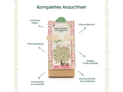 Die Stadtgärtner Anzuchtset Bienenbaum