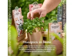 Die Stadtgärtner Anzuchtset Bienenbaum