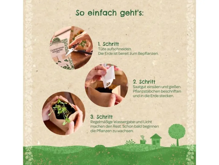 Die Stadtgärtner Anzuchtset Klimabaum