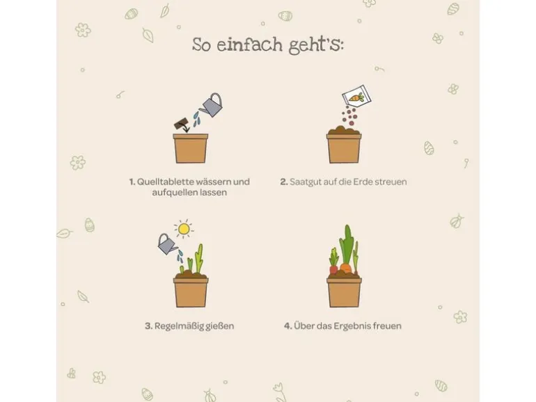 Die Stadtgärtner Anzuchtset Möhrchen aus dem Becher