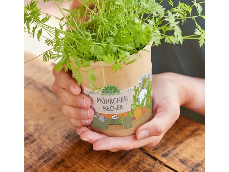 Die Stadtgärtner Anzuchtset Möhrchen aus dem Becher
