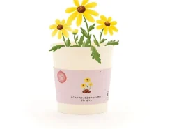 Die Stadtgärtner Blütengruss Schokoladenblume