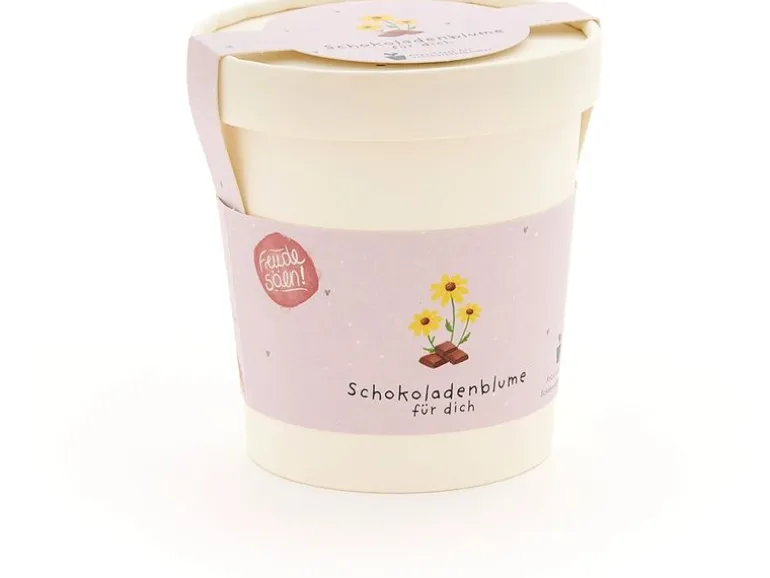 Die Stadtgärtner Blütengruss Schokoladenblume