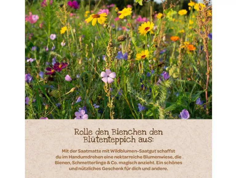 Die Stadtgärtner Blütenteppich Bienenwohl