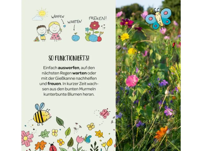 Die Stadtgärtner Blumenmurmeln 25 Stück