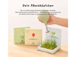 Die Stadtgärtner Pflanzenkästchen «Du bist unentbeerlich»