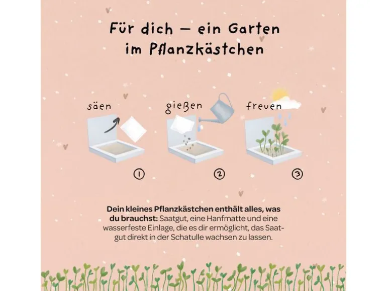 Die Stadtgärtner Pflanzenkästchen «HDGDL»