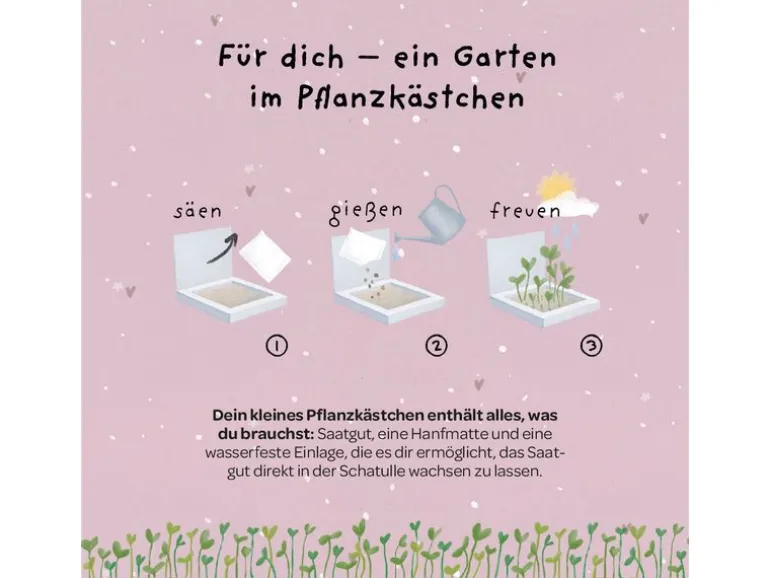 Die Stadtgärtner Pflanzenkästchen «Danke»