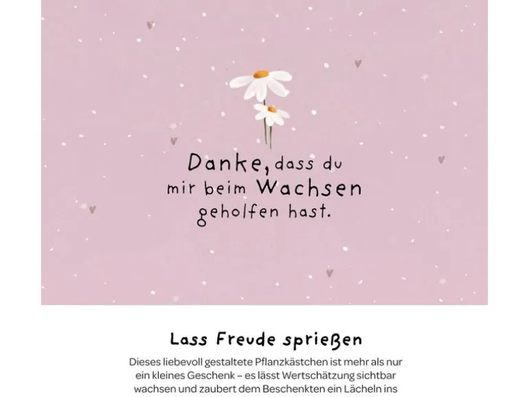 Die Stadtgärtner Pflanzenkästchen «Danke»