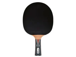 DONIC Schildkröt Tischtennisschläger Top Team 800