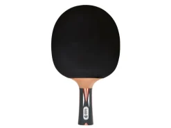 DONIC Schildkröt Tischtennisschläger Top Team 900