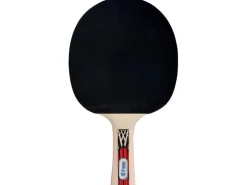 DONIC Schildkröt Tischtennisschläger Legends 900
