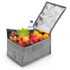 EASYmaxx Kühltasche 21 l grau