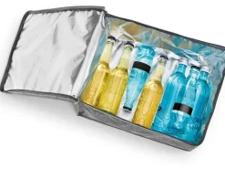 EASYmaxx Kühltasche 21 l grau