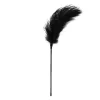 Easytoys Fetish Collection Feder Tickler schwarz