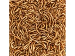 Eric Schweizer Vogelfutter Mehlwürmer, 1.8 kg