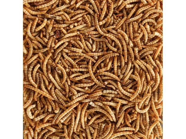 Eric Schweizer Vogelfutter Mehlwürmer, 250 g