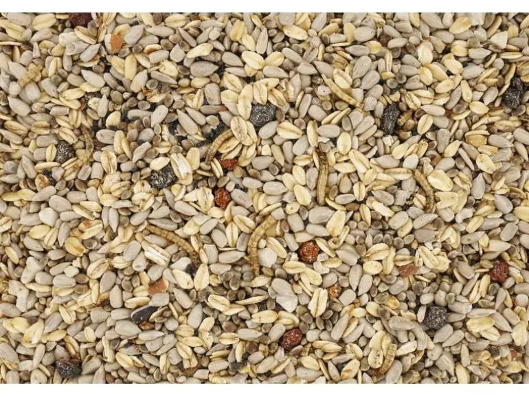 Eric Schweizer Vogelfutter Wildvogelmischung Expert 5 kg