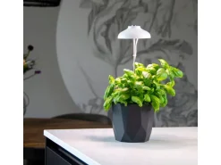 Esschert Design Pflanzenlampe LED Weiss höhenverstellbar USB