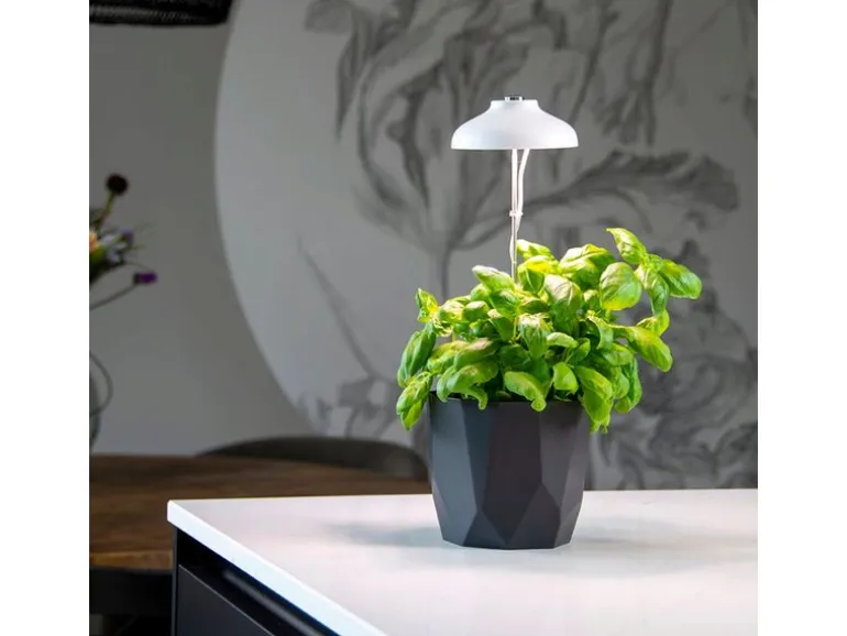 Esschert Design Pflanzenlampe LED Weiss höhenverstellbar USB