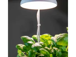 Esschert Design Pflanzenlampe LED Weiss höhenverstellbar USB