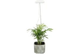 Esschert Design Pflanzenlampe LED Weiss höhenverstellbar USB