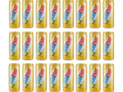 Esta Thè Tee Limone 24 Stück x 0.33 l