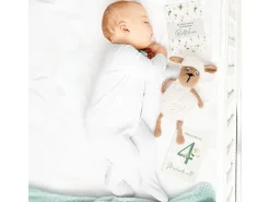 Eulentaler Baby-Meilensteinkarten Pflanzen
