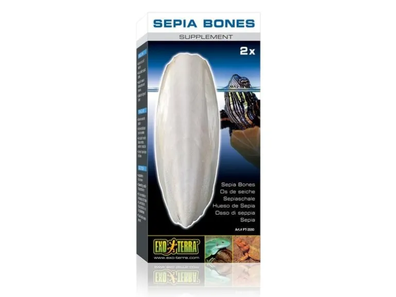 Exo Terra Ergänzungsfutter Sepiaschale, 2 Stk.