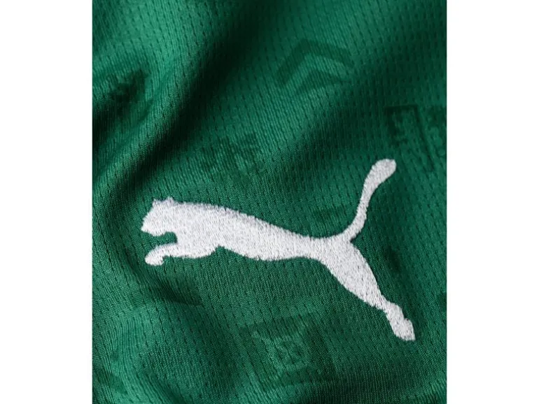 FC St. Gallen Jersey Home 26/27 Grün, M