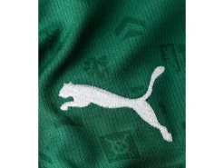 FC St. Gallen Jersey Home Junior 26/27 Grün, 140