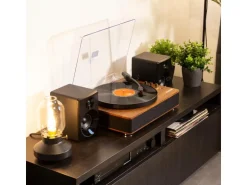 Fenton Plattenspieler mit Bluetooth RP162 Braun