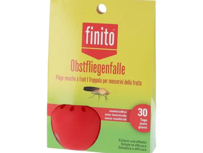 finito Insektenfalle für Obstfliegen 1 Stück