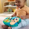 Fisher-Price Musikspielzeug Lernspass Hündchen-Piano