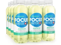 FOCUS WATER Antiox Zitrone und Ingwer 12 x 0.5 l