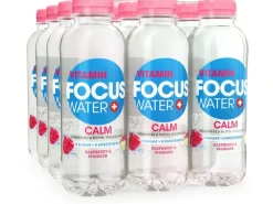 FOCUS WATER Calm Rhabarber & Himbeere 12 x 0.5 l