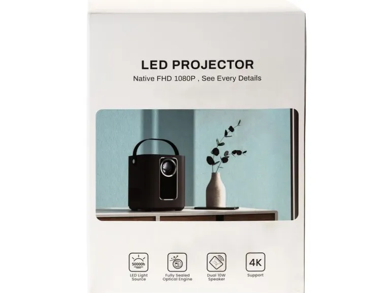 FTM Projektor Pro